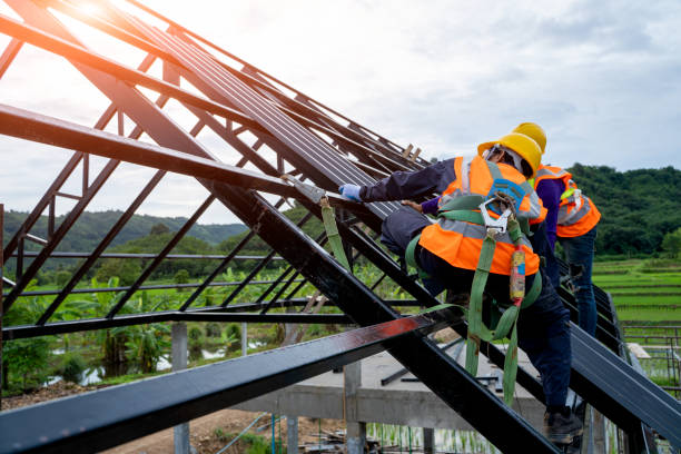 Best Storm Damage Roof Repair  in Hunter, TN